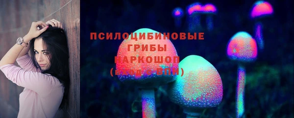 спиды Козельск