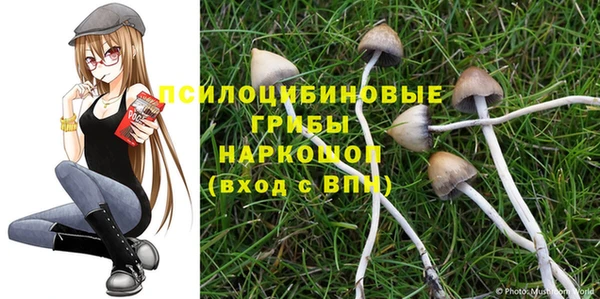 спиды Козельск
