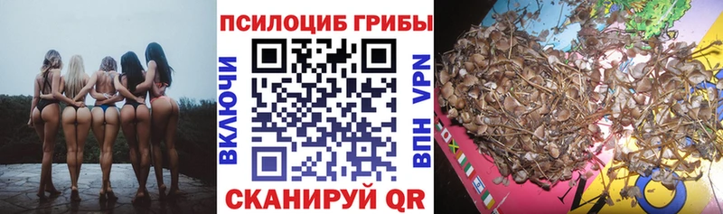 Галлюциногенные грибы прущие грибы Людиново